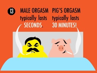 13 Strange Sex Facts