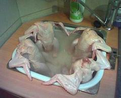Chicks in a Jacuzzi Relaxing Before Passover