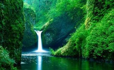 serenity