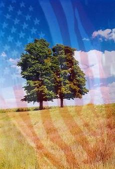 Maybe if Our National Anthem was "America the Beautiful..."