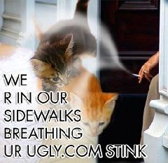 cats hate smokers