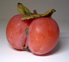 Sexy fruit 2