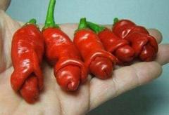 sexy peppers