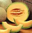 cantaloupe crescents