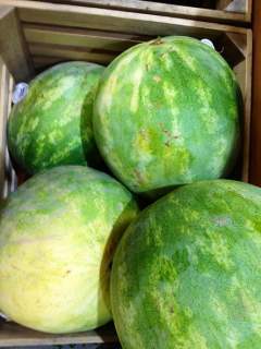 ripe melon belly color
