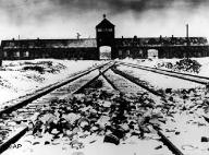holocaust holocaust