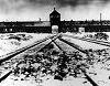 holocaust
