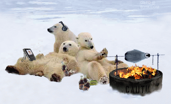 bears cooking penguin