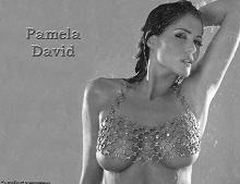 pamela david