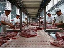 toxic china